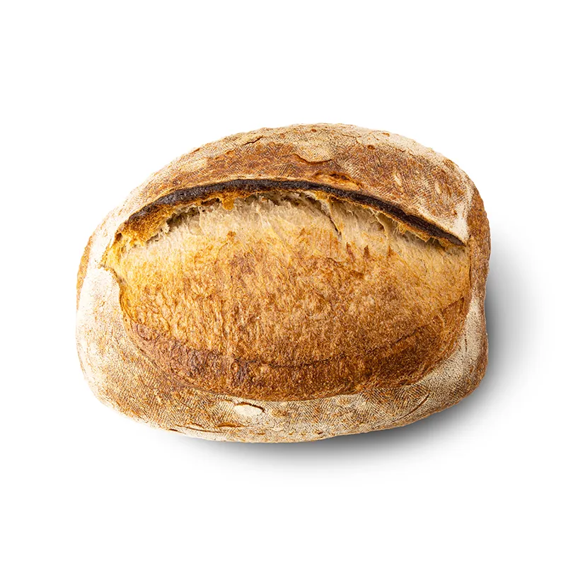panino bio