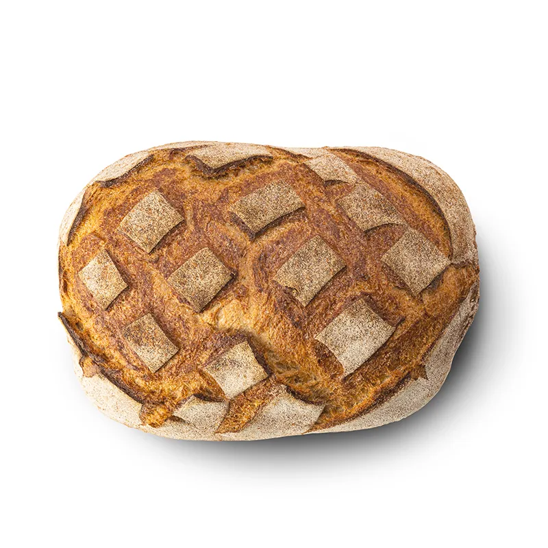 panino bio